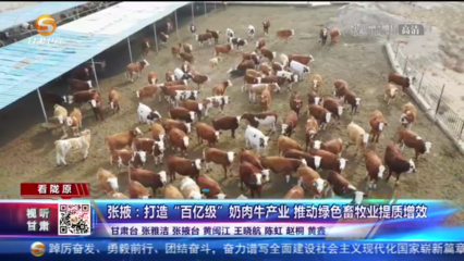 张掖 打造“百亿级”奶肉牛产业 推动绿色畜牧业提质增效